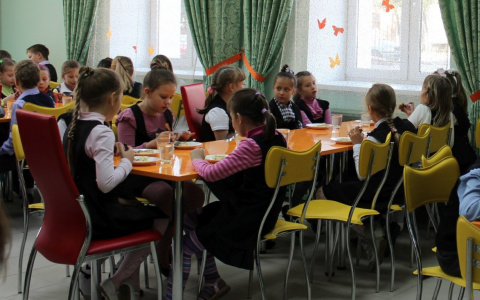 Независимо от социального статуса: в России вводят бесплатное питание для младшеклассников