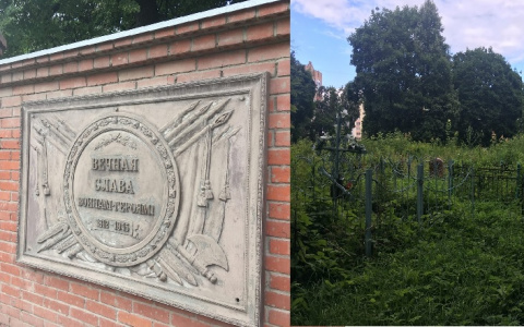 Вот наша память о героях: Лазаревское кладбище заросло двухметровым бурьяном