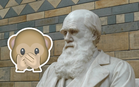 Тест на премию Дарвина: отличите реальный случай от фейка