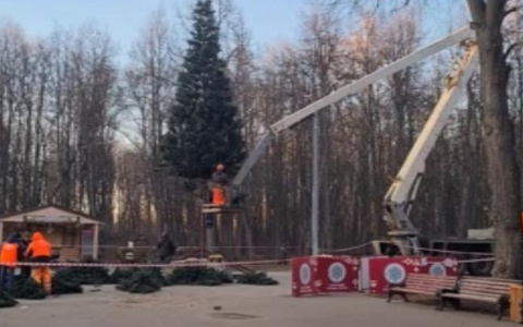 Украсят позже: в Рязани установили первую новогоднюю елку