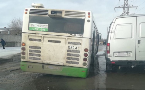 Коварная лужа: на Радиозаводской автобус попал колесом в яму в луже