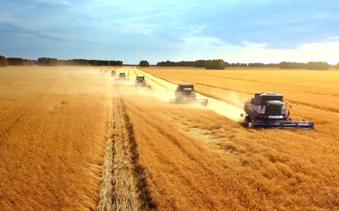 Россельхозбанк запускает новый лизинговый продукт на маркетплейсе «Свое Фермерство»