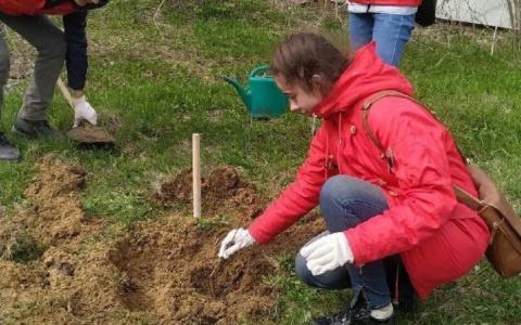 Без пафоса и пиар-речей: студенты-медики посадили деревья для маленьких пациентов