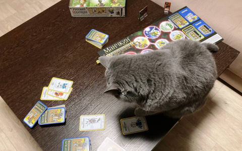 «Манчкин Вархаммер»: игра, которую оценила даже кошка