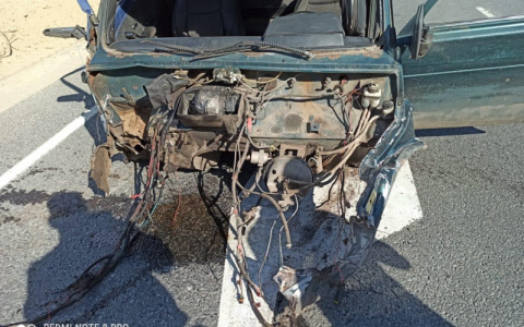 Смертельное ДТП: В Сасовском районе столкнулись грузовик и легковой автомобиль