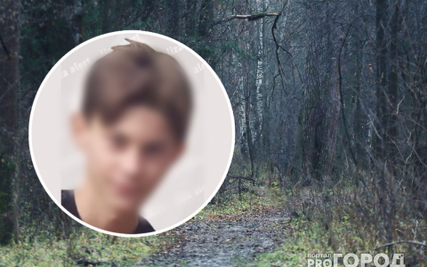 Скорее всего, живым рязанского мальчика уже не найдут: стали известны подробности исчезновения подростка