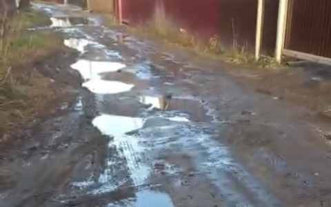 Жители рязанского коттеджного поселка "Ходынинские дворики-1" жалуются на отсутствие дорог