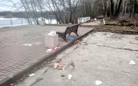 Пристань рязанского Лесопарка «заросла» мусором